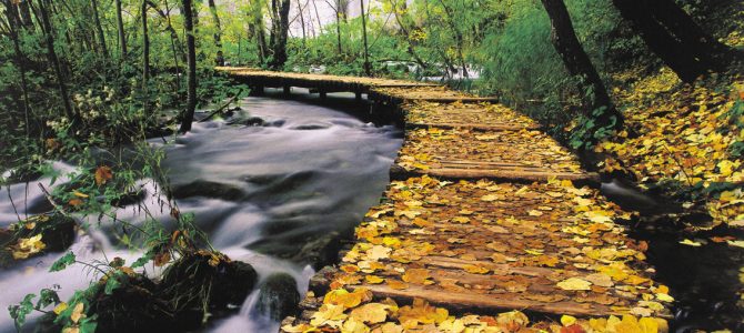 Plitvička jezera – svijet padajućih jezera i slapova Plitvička jezera – svijet padajućih jezera i slapova