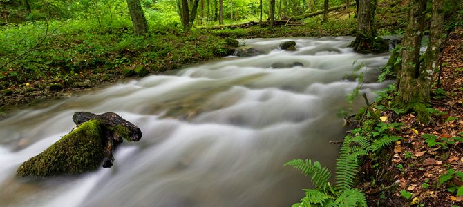 Važniji datumi u zaštiti prirode Važniji datumi u zaštiti prirode