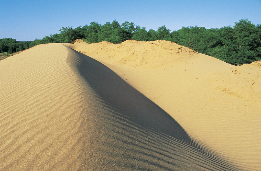 Đurđevački (Podravski) pijesci – Hrvatska Sahara