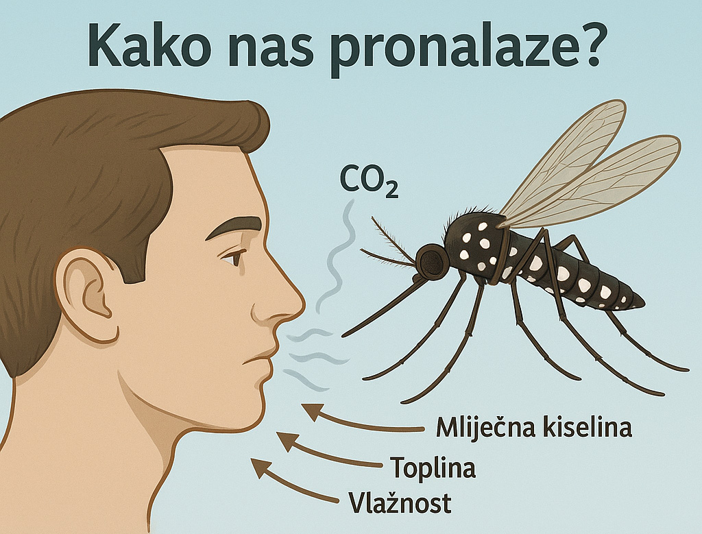 komarac, komarci