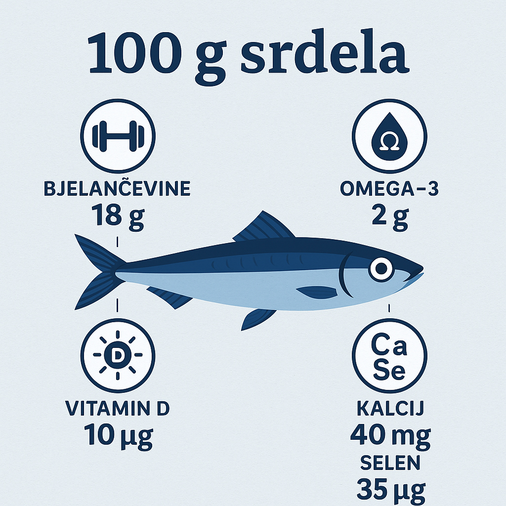 srdela, sardina, Sardina pilchardus