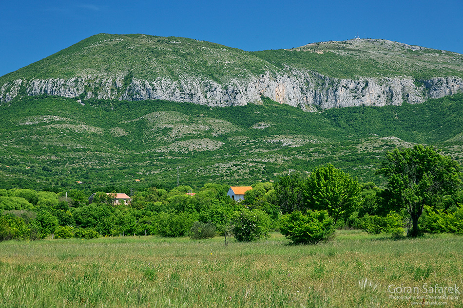 Dalmatinske krške planine