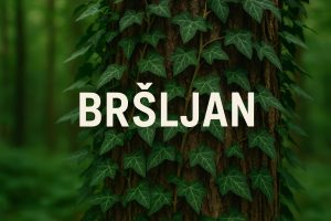 bršljan, Hedera helix, penjačice, epifiti