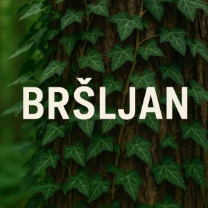 bršljan, Hedera helix, penjačice, epifiti