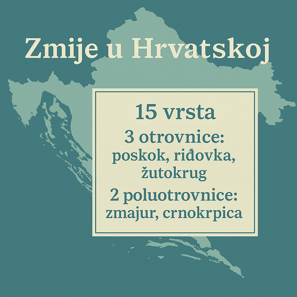 zmije, hrvatska