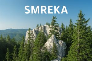smreka, Picea abies)
