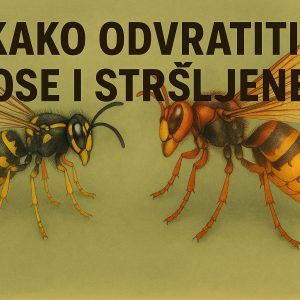 Kako odvratiti ose i stršljene