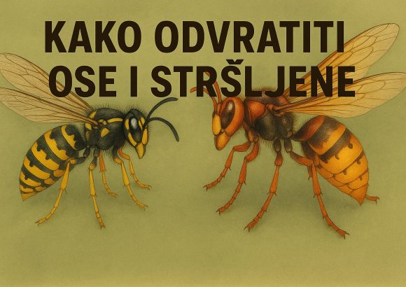 Kako odvratiti ose i stršljene