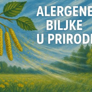 alergene biljke u prirodi