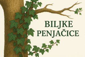 biljke penjačice, povijuše