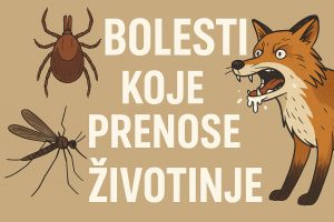 bolesti koje prenose životinje