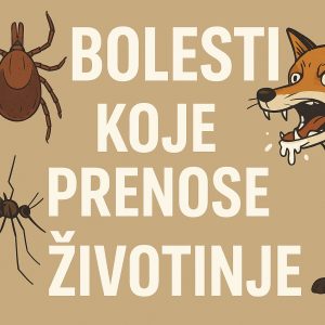 bolesti koje prenose životinje