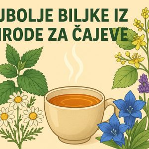Najbolje biljke iz prirode za čajeve