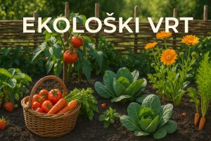 ekološki vrt