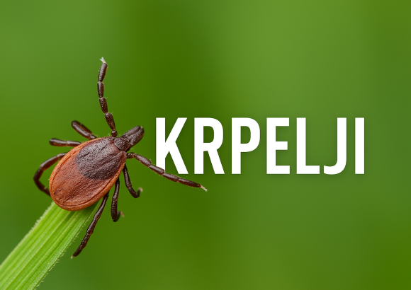 krpelji
