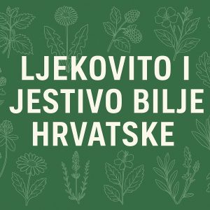 ljekovito i jestivo bilje