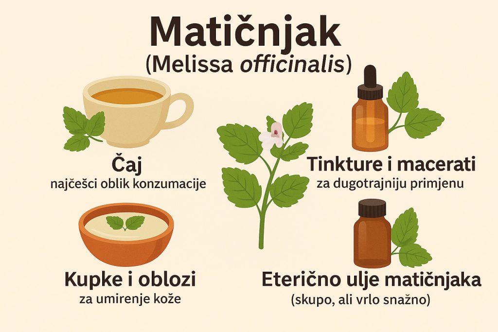 Matičnjak, Melissa officinalis