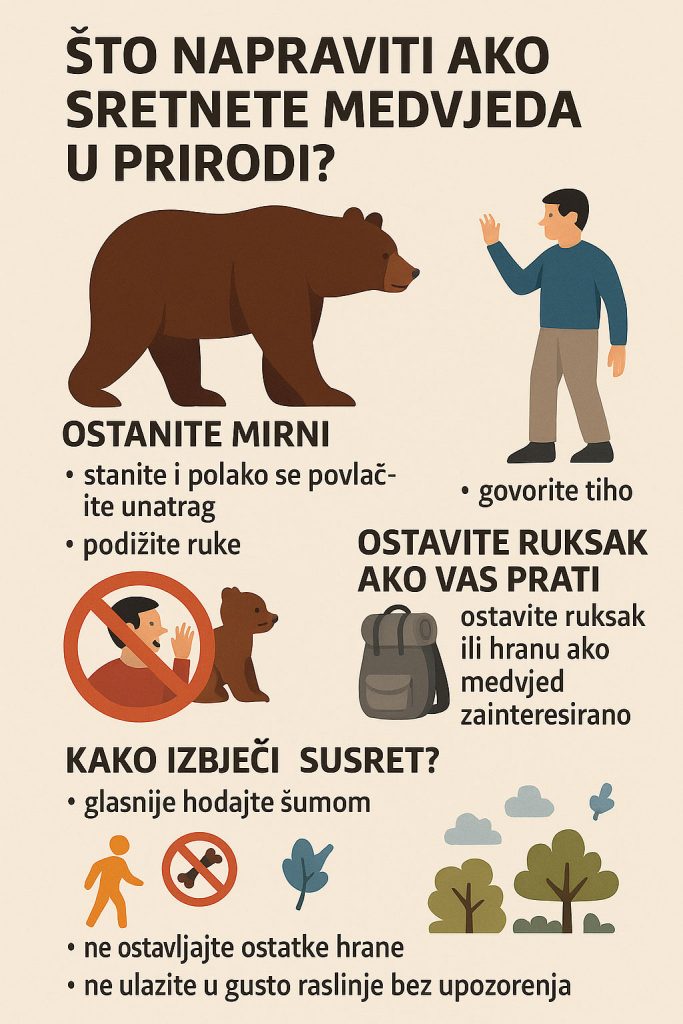 sretnuti medvjeda u prirodi