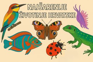 najšarenije životinje Hrvatske
