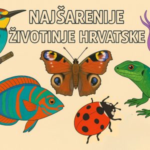 najšarenije životinje Hrvatske