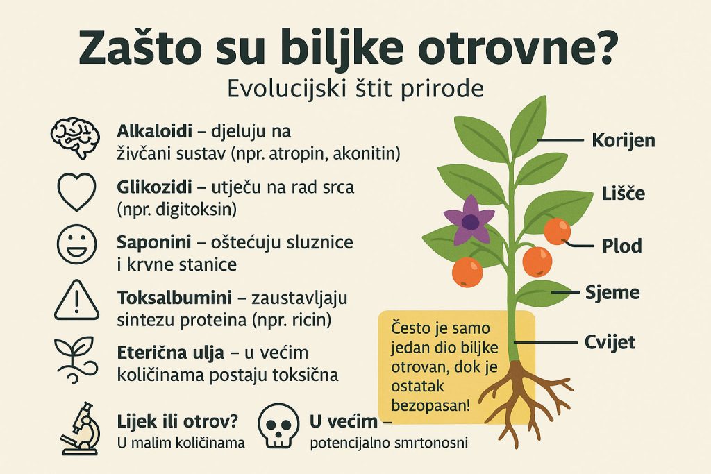 najotrovnije biljke Hrvatske