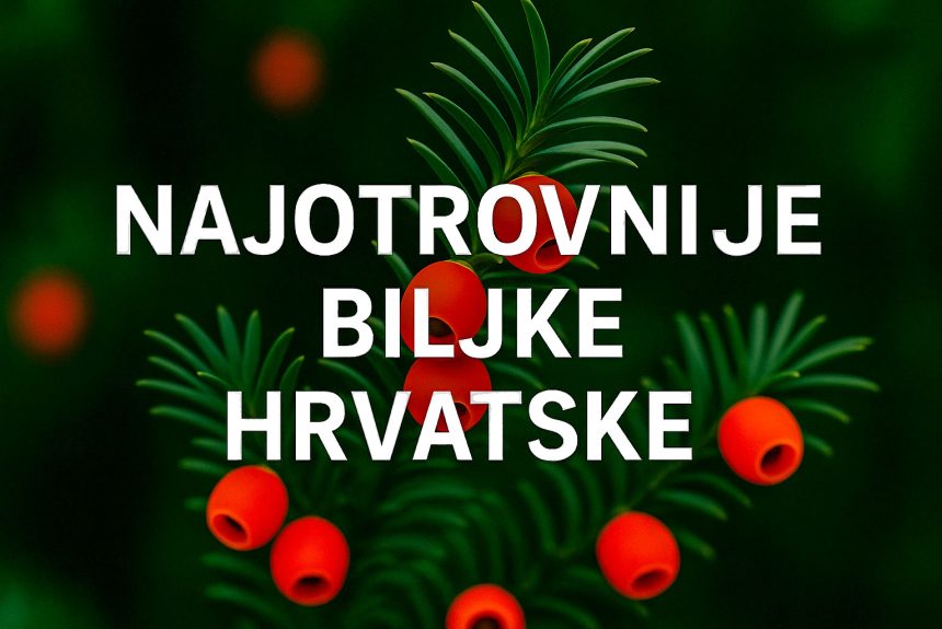 najotrovnije biljke Hrvatske