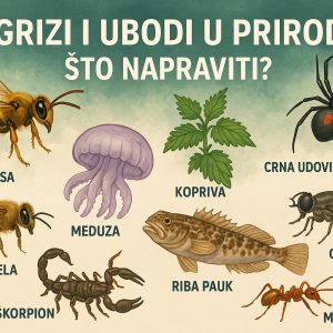 ugrizi i ubodi u prirodi