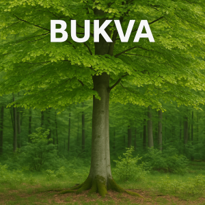 ChatGPT Image 22. lis 2025. 16_31_58 Bukva, Fagus sylvatica