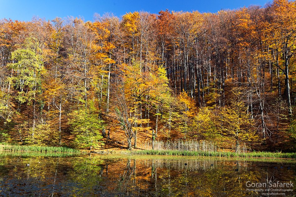 park prirode Papuk, jezero