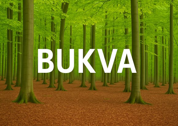 Bukva, Fagus sylvatica