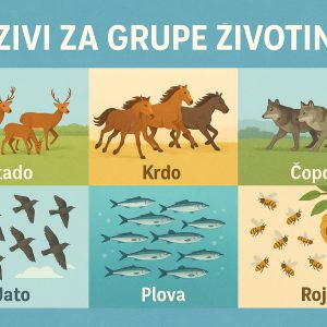 nazivi za grupe životinja