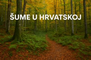 šume, hrvatska, šuma