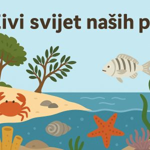 živi svijet naših plaža