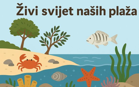 živi svijet naših plaža