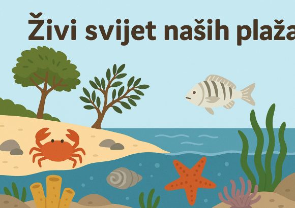 živi svijet naših plaža