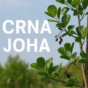 crna joha, Alnus glutinosa