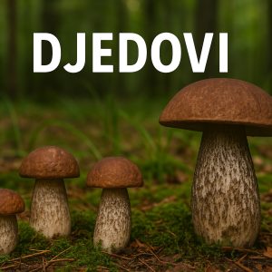 djedovi