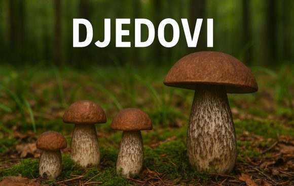 djedovi