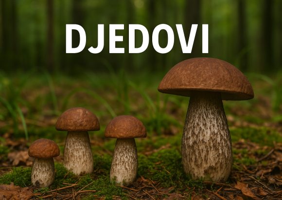 djedovi