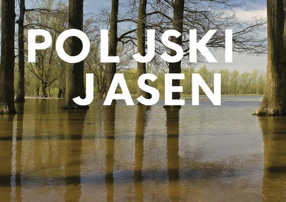 Poljski jasen, Fraxinus angustifolia