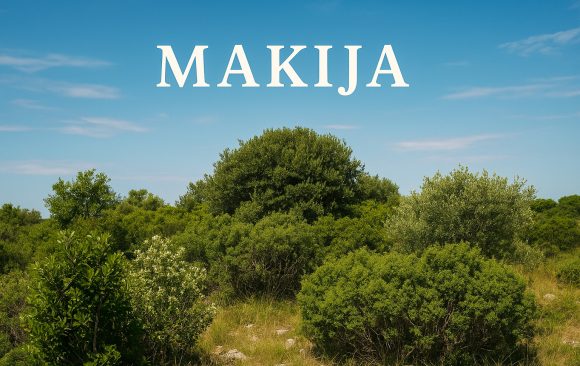 makija makija