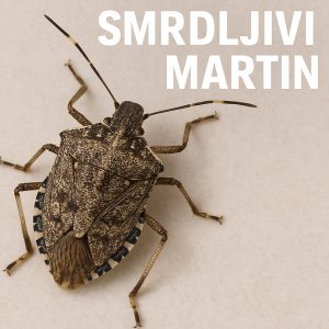 mramorna mrežasta stjenica, Halyomorpha halys