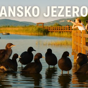 Novi film: Vransko jezero